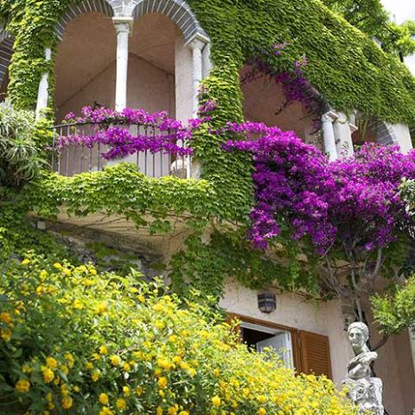 b&b vista mare vicino Positano